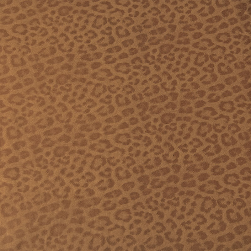 2544bg