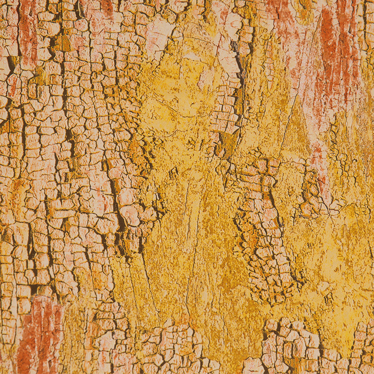 2044bg Shabby Chic Orange Gelb Schwarz